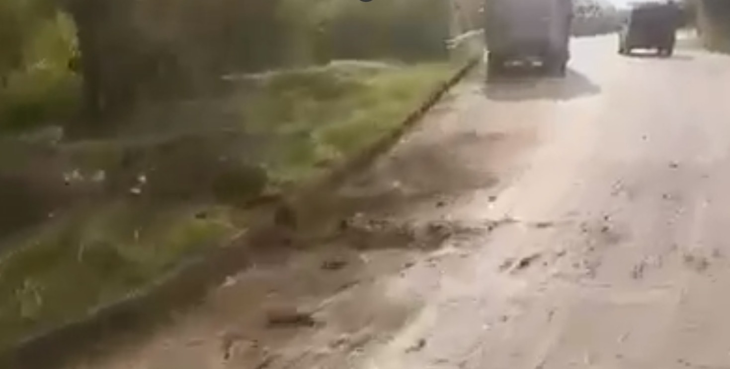 Atentado en La Plata, Huila