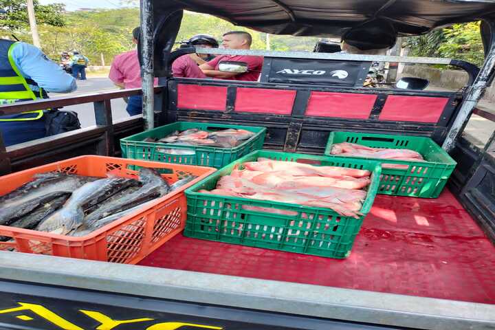 Salud municipal decomisa 70 kilos de pescado