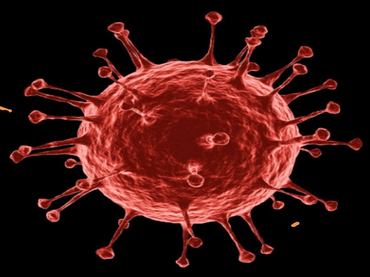 Revive virus "zombi" con 48.500 años congelado.