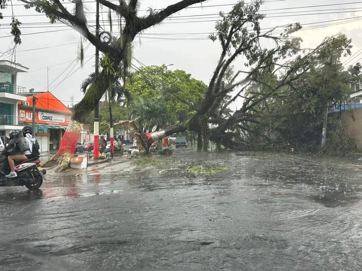 Daños en Florencia por fuertes vientos