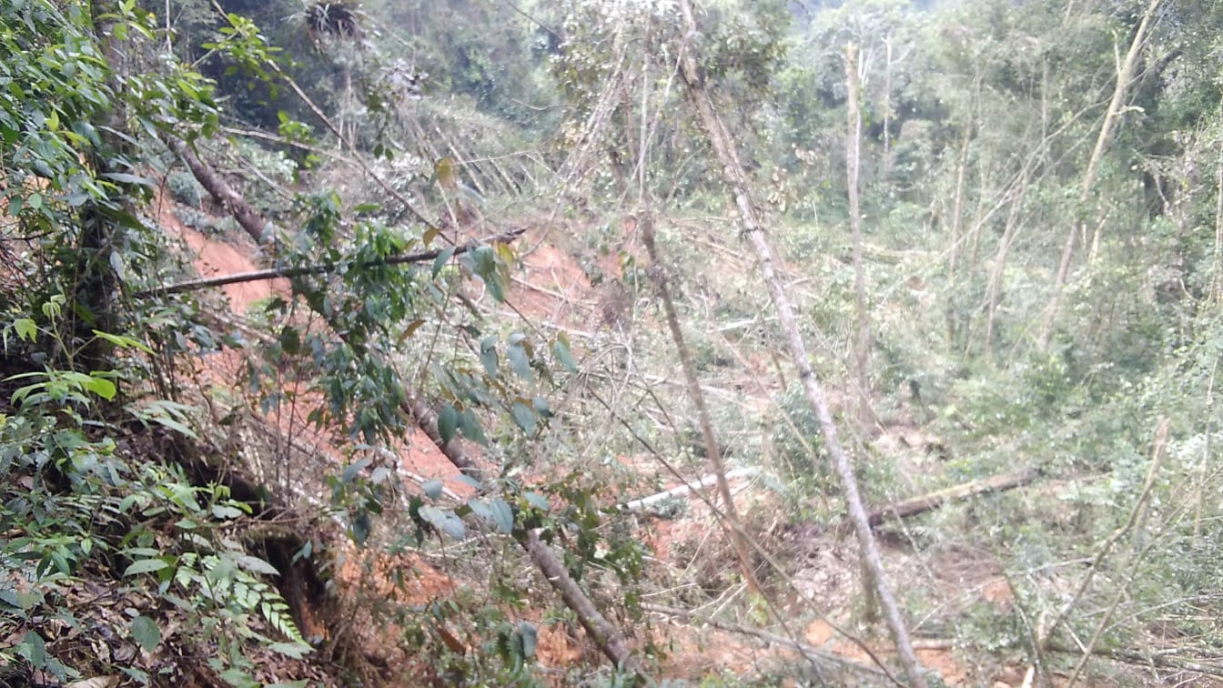 En estado de emergencia la vereda de Palermo - Huila