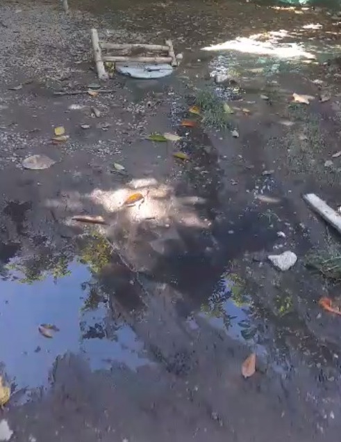 Una alcantarilla  colapsó en el Barrio Calixto