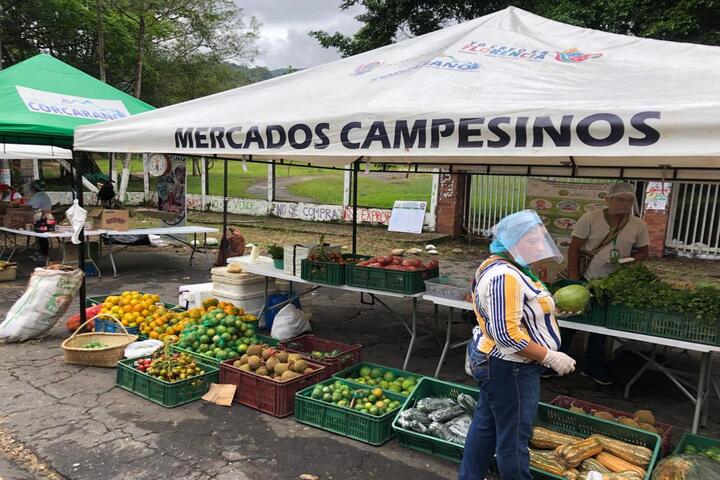 18 de agosto gran feria de mercados campesinos en el parque santander