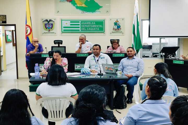Aprobada ordenanza que permite la industrialización de la guadua-bambú