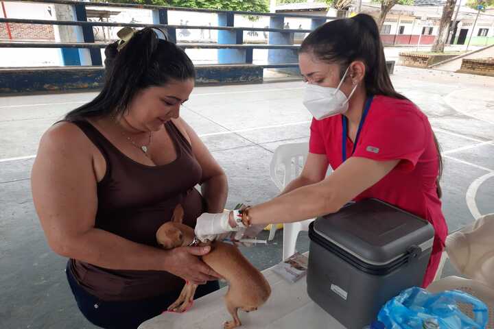 Secretaria de salud departamental conmemora día mundial de la rabia