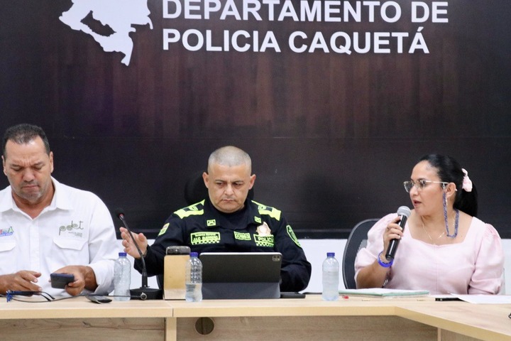 Decreto sobre uso de pólvora analizado en consejo de seguridad