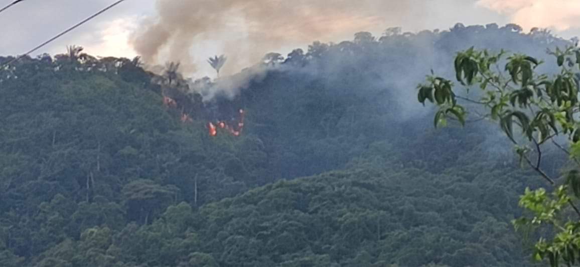 Alerta en los cerros de Florencia.