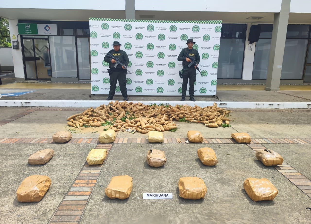 Caen trece kilos de marihuana camuflados en bultos de yuca.