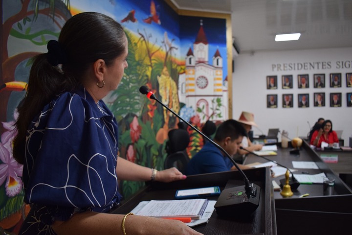 Secretaria de Salud ratifica en el Concejo Municipal que el PIC será contratado con la Red Pública