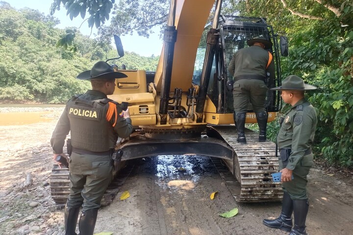 Resultados de la policía en materia ambiental en los dos primeros meses del 2024