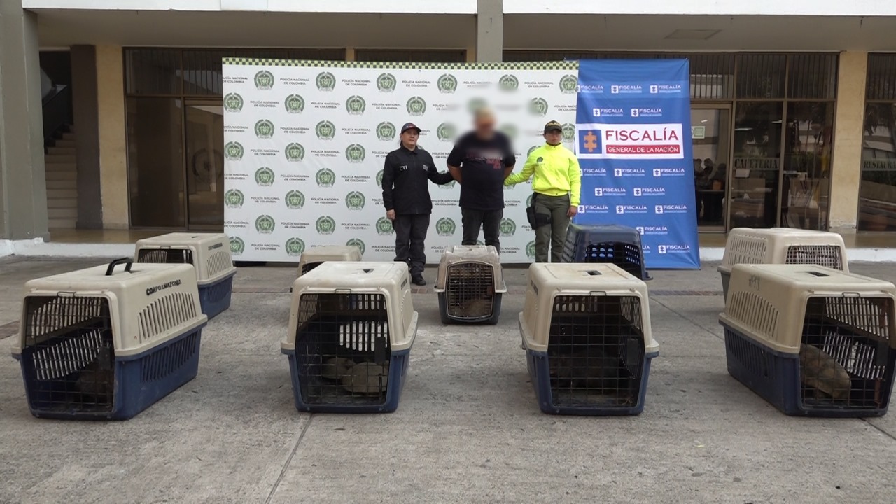Capturan hombre con 26 especies de fauna silvestre en cautiverio.