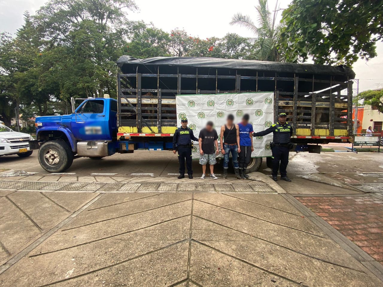 Capturan a 3 hombres por abigeato en el sur del Huila