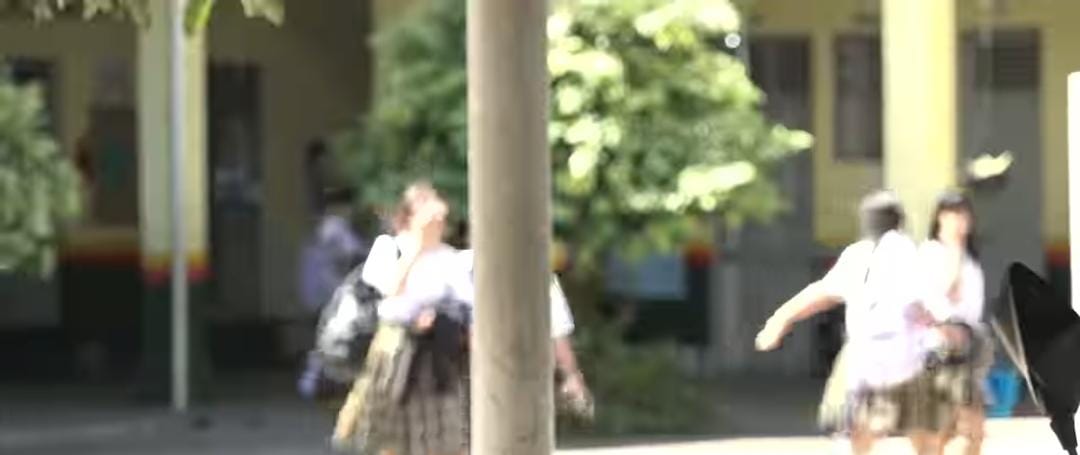 ´Lucha frontal´ contra micrográfico en colegio San Francisco.