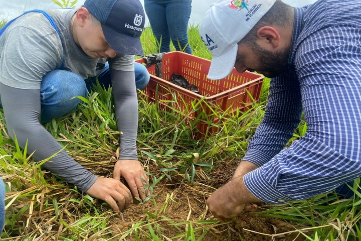 Con la siembra de dos mil árboles la Alcaldía avanza en la reforestación de sitios clave