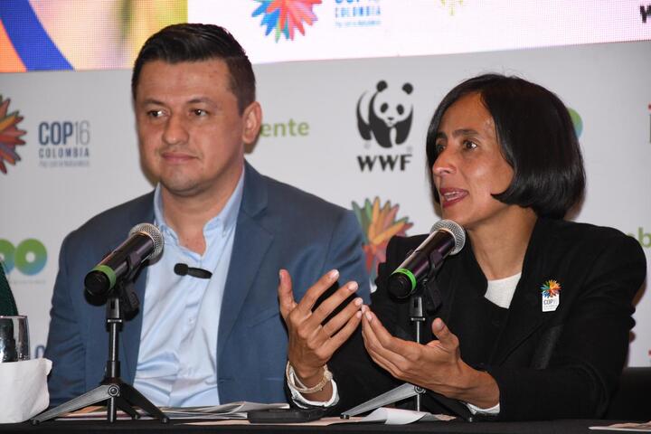 Florencia será sede de la Cumbre de Alcaldes rumbo a la COP-16: