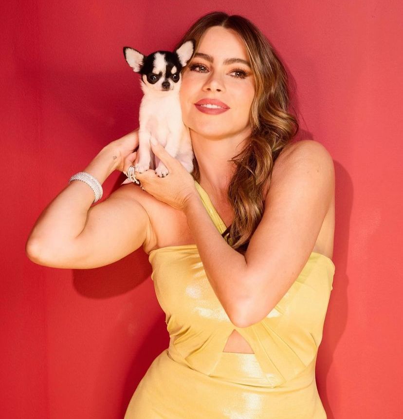 Sofía Vergara nominada al Emmy a mejor actriz por su papel en “Griselda”
