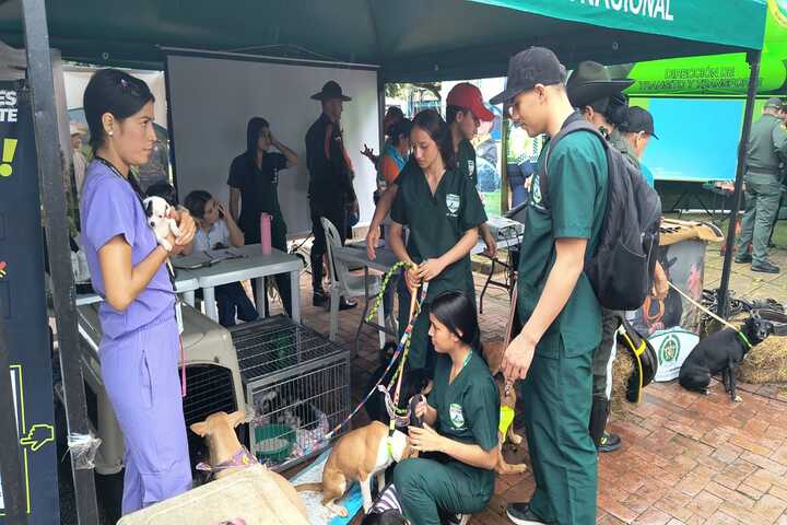 Alcaldía de Florencia y Policía Nacional unen fuerzas por el bienestar animal