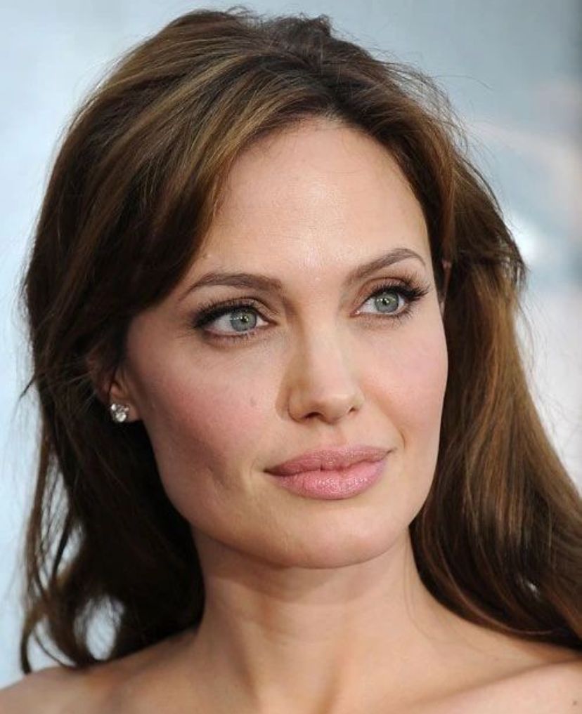 Angelina Jolie es premiada por su labor social