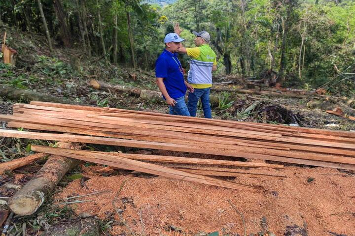 Operativo Contra La Deforestación En Zonas De Protección Ambiental