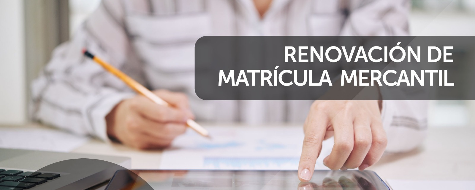 Proceso de renovación de matrículas mercantiles.