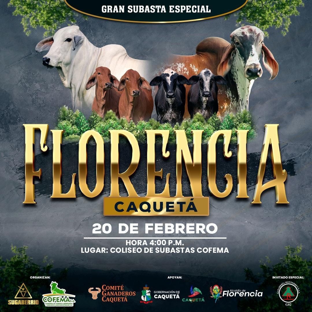 Gran Subasta el 20 de Febrero en Florencia.