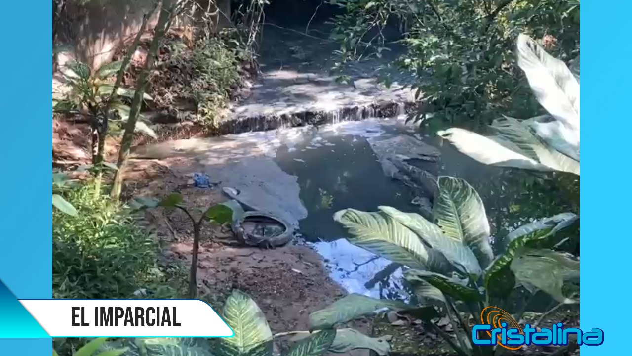 Denuncian contaminación ambiental en colegio.