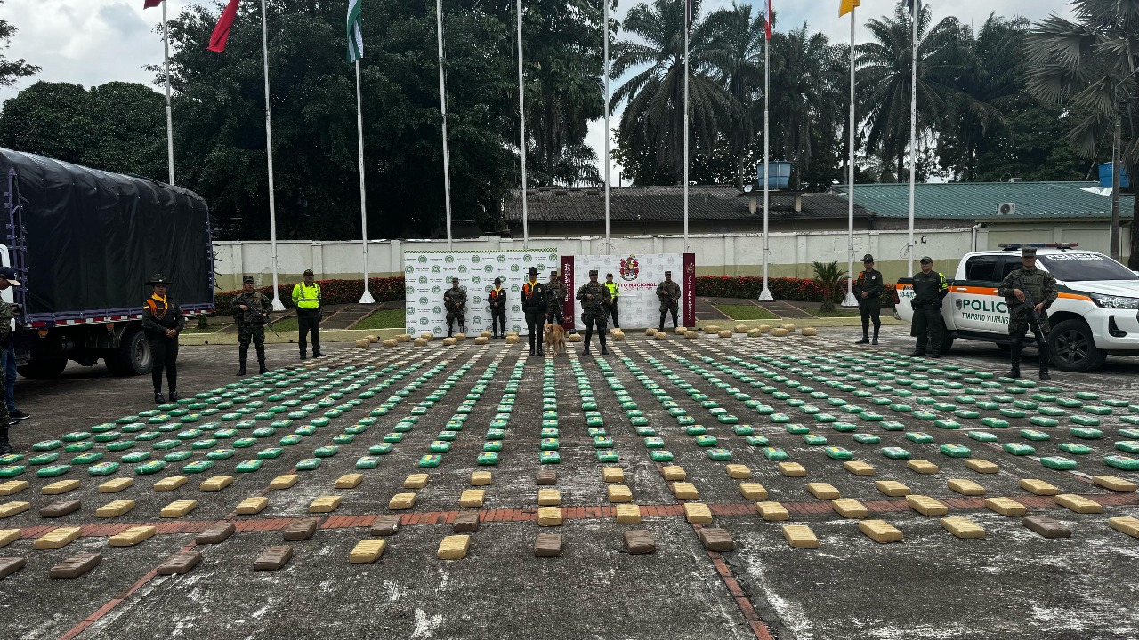 Ejército Nacional incautó 800 kilos de marihuana.