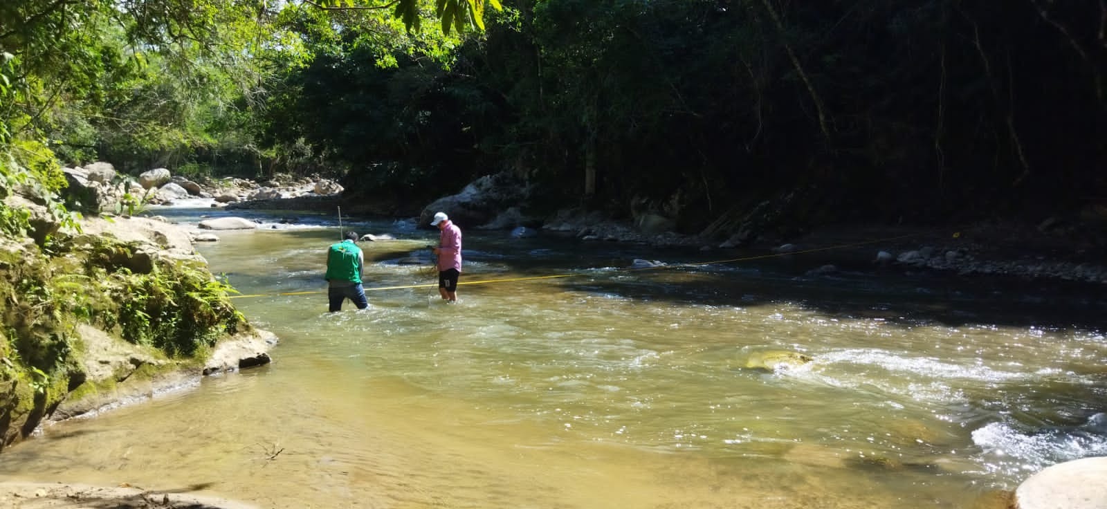 Huila legaliza su naturaleza: 1.500 trámites ambientales se registraron en 2025
