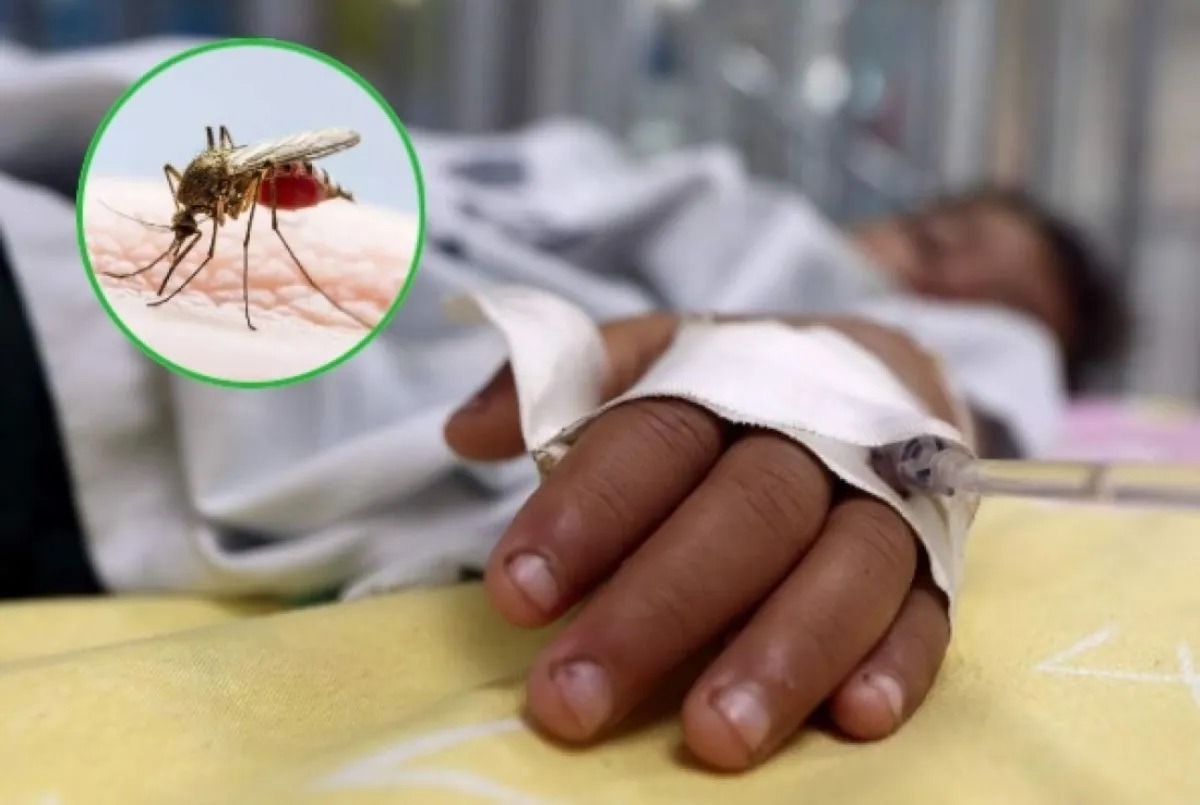 Palermo, en brote de dengue tras muerte de una menor