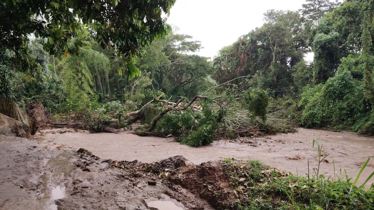 Lluvias golpean el agro en el Huila: 14 municipios afectados y cerca de 400 hectáreas en riesgo
