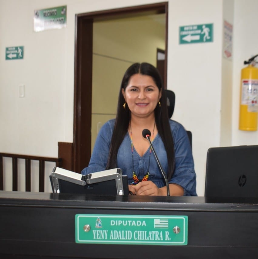 Tutela interpuesta por la hoy exdiputada Yenny Chilatra.