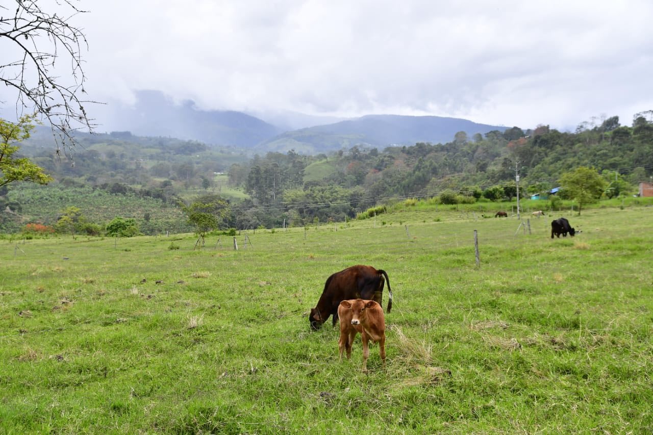 En Gigante entregan 12 títulos de propiedad rural