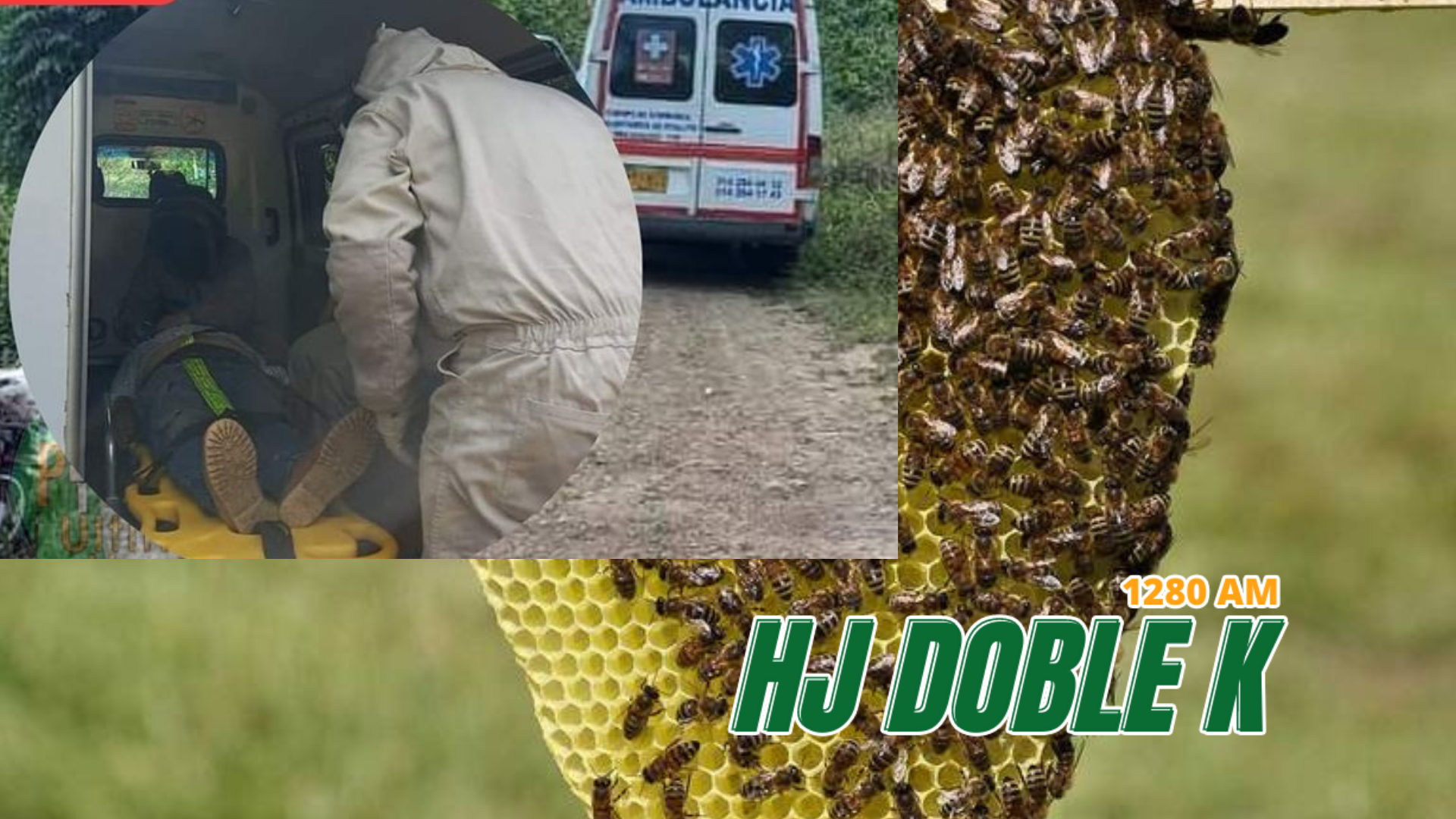 Hombre murió por ataque de abejas
