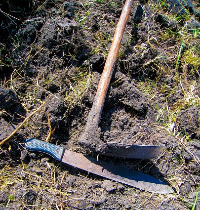 En pleno siglo XXI en el Huila continúan los métodos arcaicos para realizar la agricultura