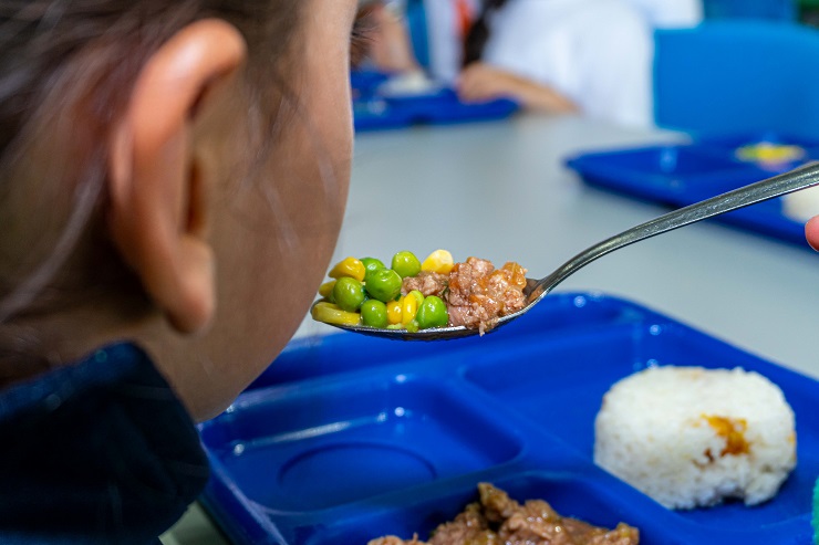 Gobierno departamental, a través de su secretaria de educación, garantizan los recursos para la compra de alimentos para 58 residencias escolares.