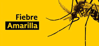 Caquetá  en alerta por Fiebre Amarilla y Dengue.