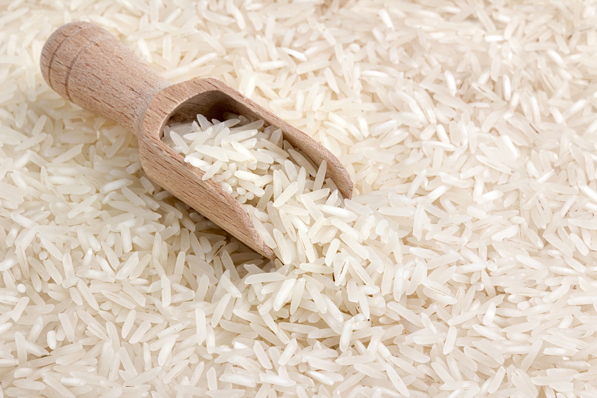 [AUDIO] Fedearroz en desacuerdo con bajo precio del grano
