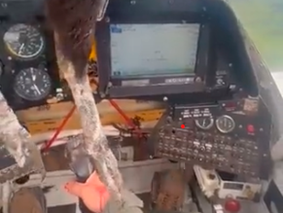 Ave chocó contra el parabrisas de un avión