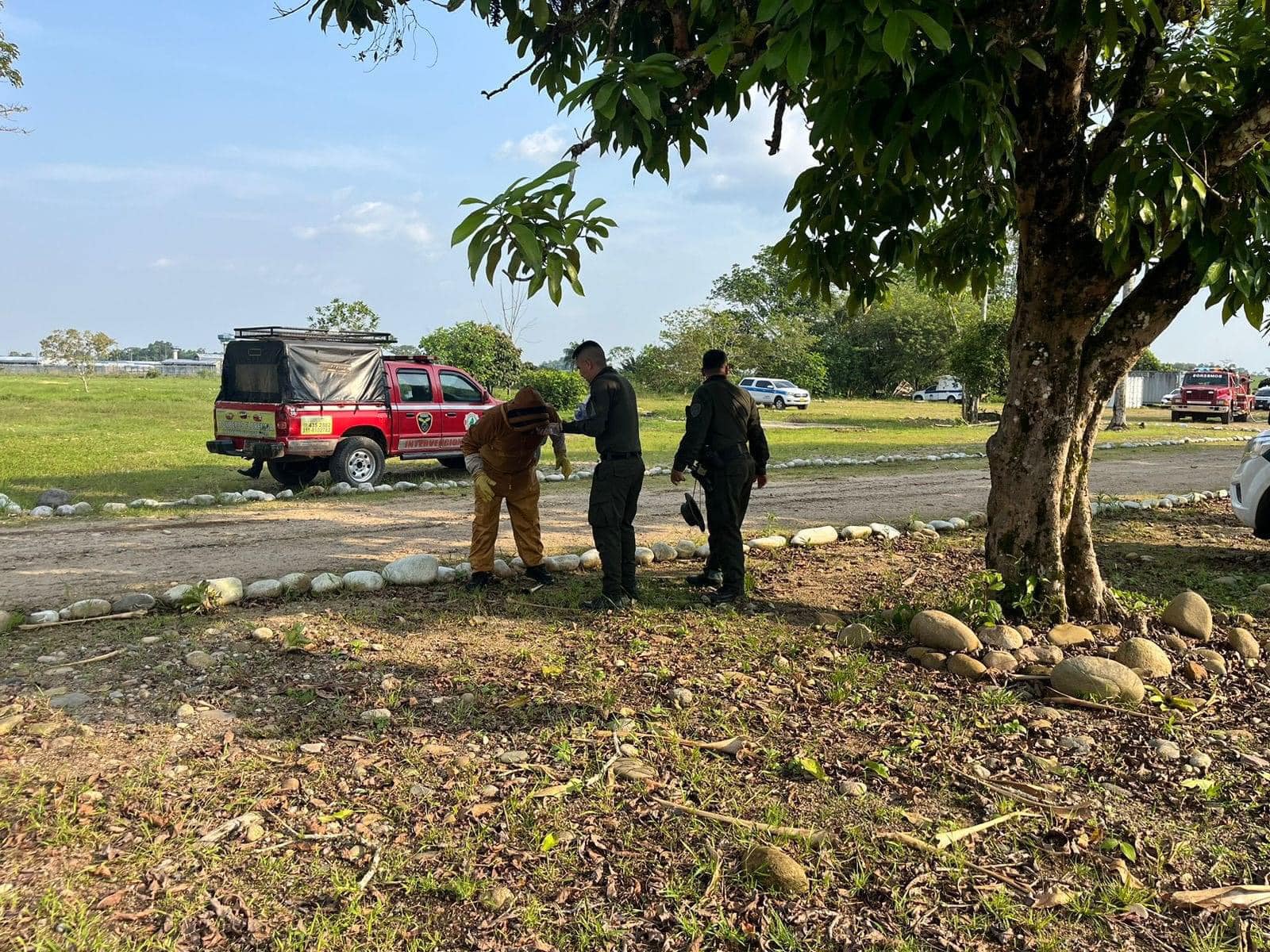 Ataque de abejas en zona rural de Florencia.