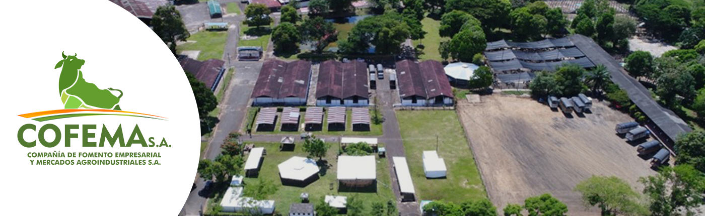 Electrocaquetá avanza en los estudios de Interconexión