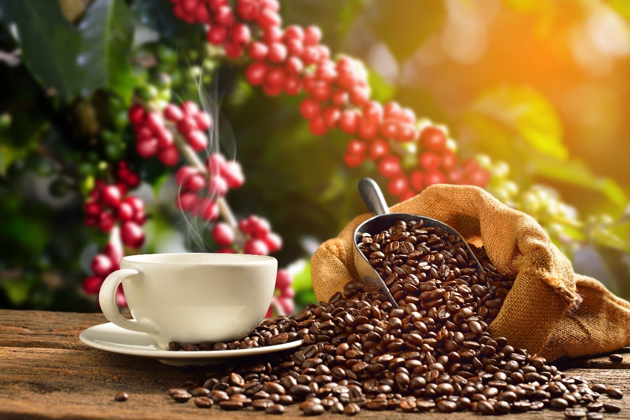 En el Huila se apuesta a la agroindustrialización del café