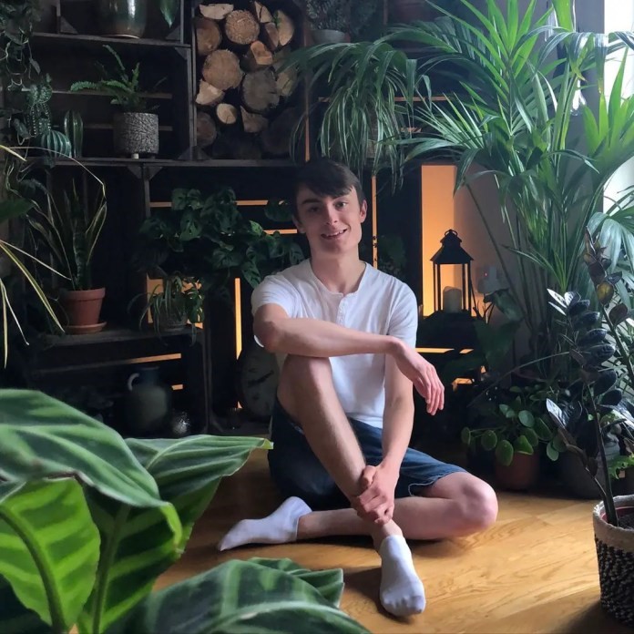 Su apartamento es transformado en una jungla por un entusiasta de las plantas
