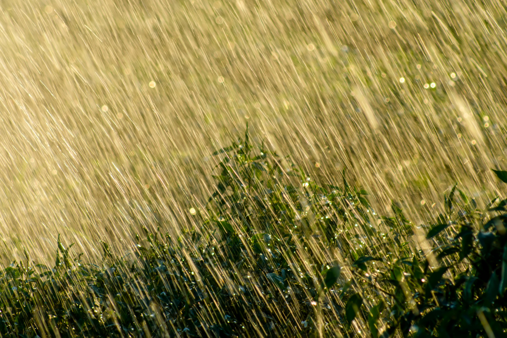 Alerta por lluvias en Cundinamarca: autoridades activan plan para proteger al campo