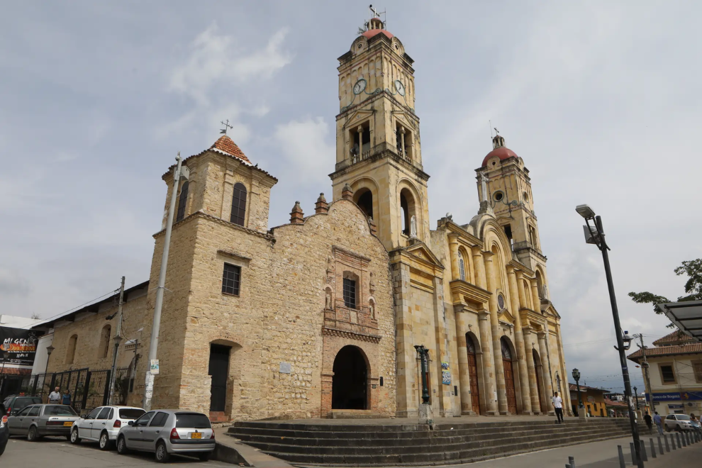 Operativos en La Mesa Cundinamarca dejan capturas, incautaciones y rescate de fauna