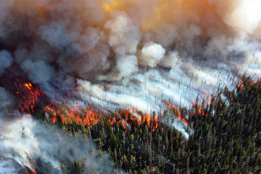 Colombia fortalece su lucha contra incendios forestales con nueva estrategia nacional