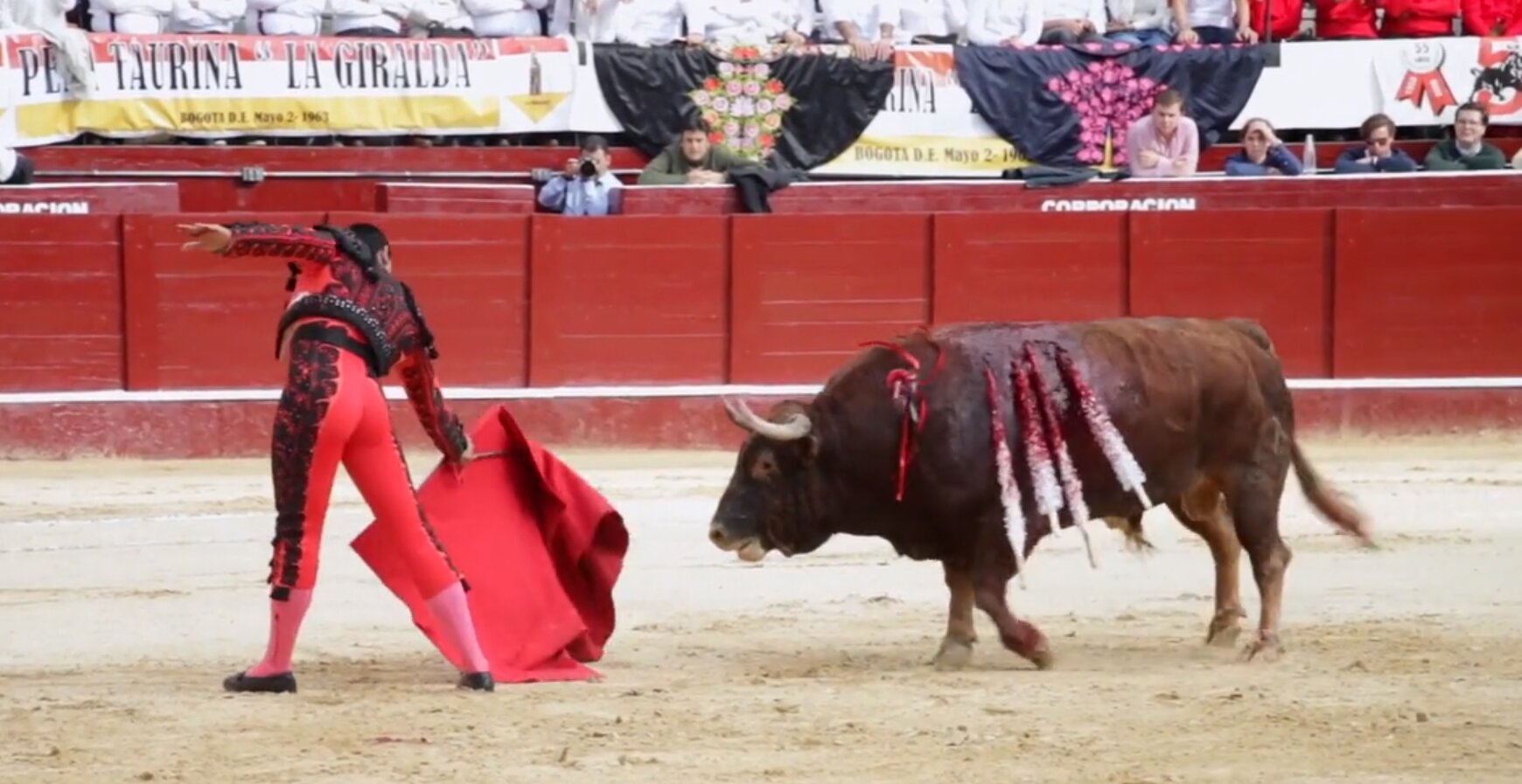 [AUDIO] Prohibición de las corridas de toros en Colombia a un paso de ser ley de la República