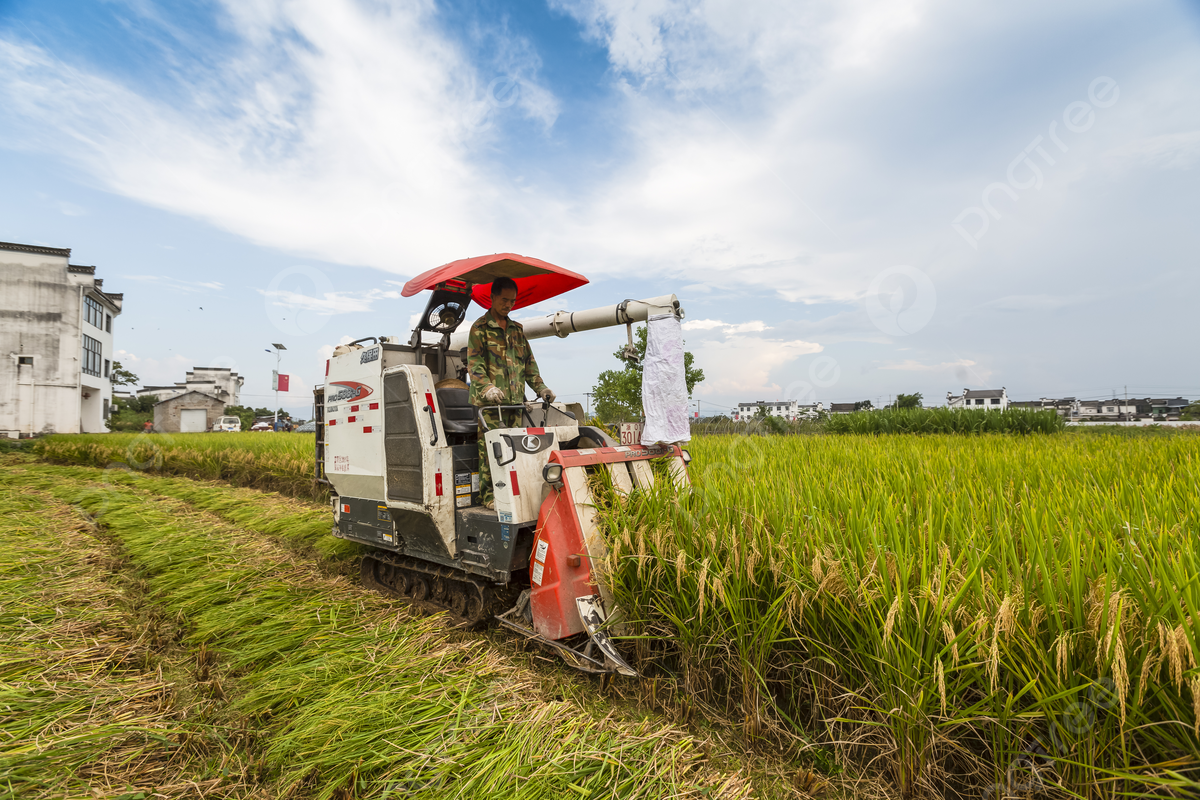 Se firmo un convenio entre la RAP-E y Universidad Agrícola del Sur de China