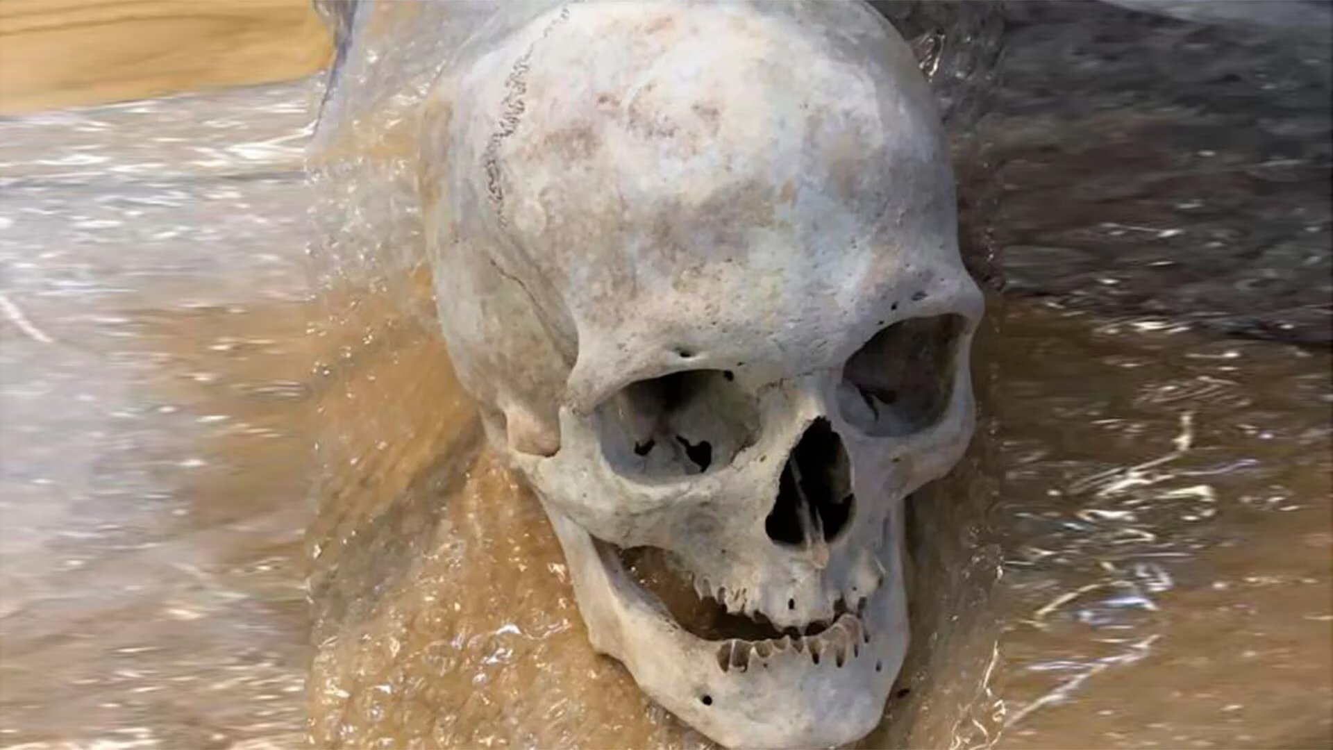 Encuentran Cráneos humanos en una casa de Estados Unidos