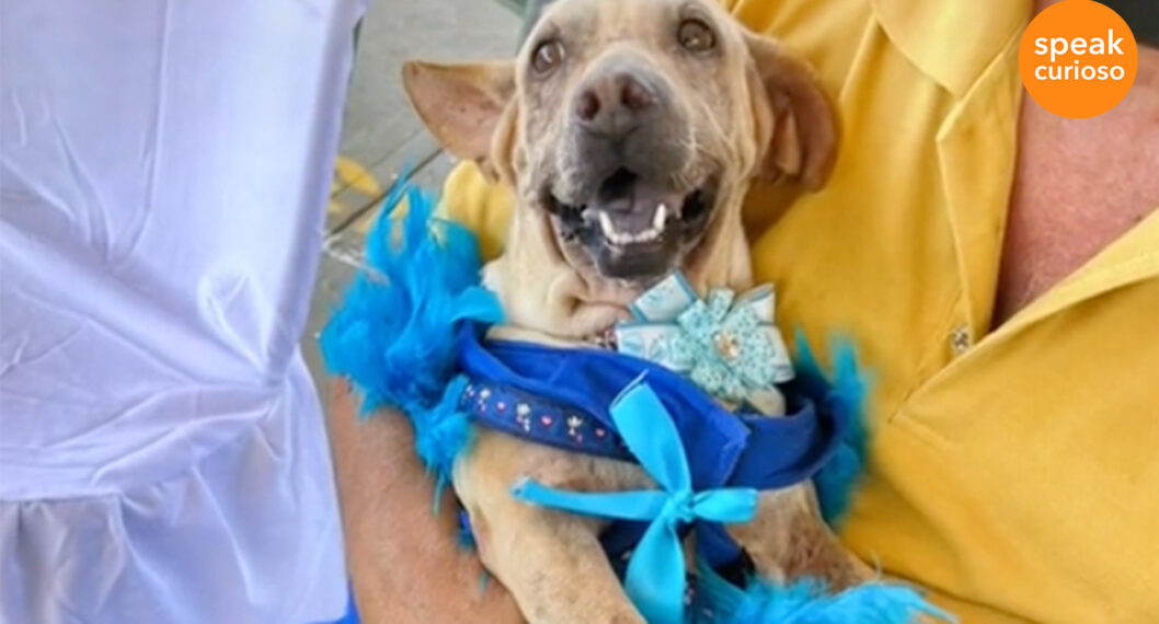 Colegio celebró, por todo lo alto, 15 años de haber adoptado a Megan, una de sus mascotas.