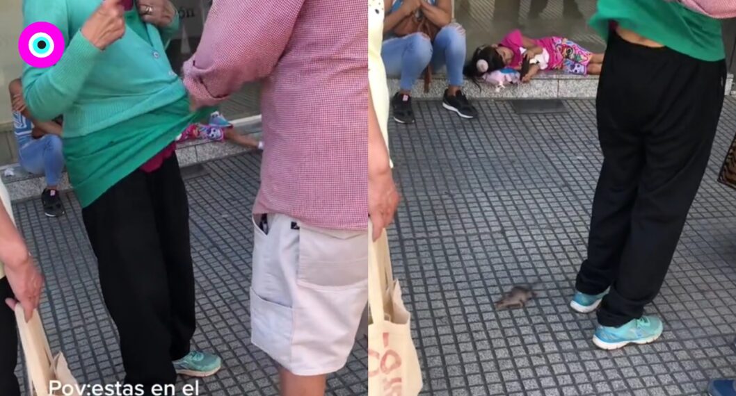 Ratón le pegó buen susto a mujer que estaba en un banco; le correteó por todo el cuerpo